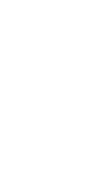 election icon